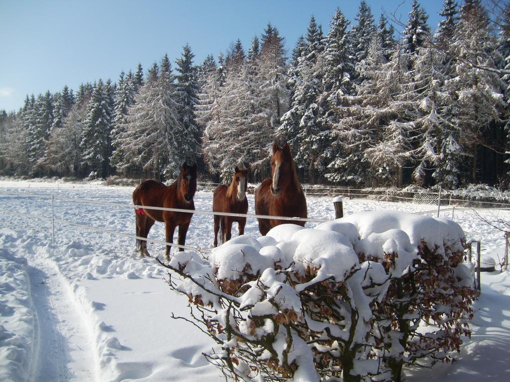 Farm Stay Heidehof Хелленталь Экстерьер фото